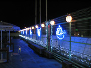 �T���v��